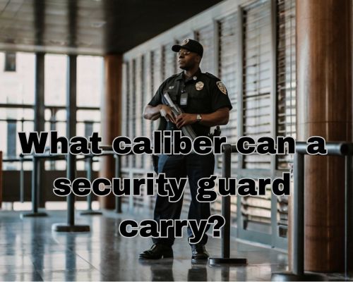 an armed security guard working holding his gun